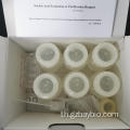 Lab Kit การสกัดกรดนิวคลีอิกจุลินทรีย์ที่ทำให้เกิดโรค